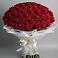 Букет 101 Красная роза Блэк Мэджик в Старково