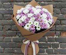 Букет цветов из:  Хризантемы #REPLACE_PRED# Старково