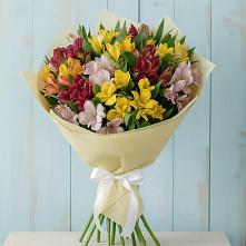 Букет цветов из:  Альстромерии в Старково