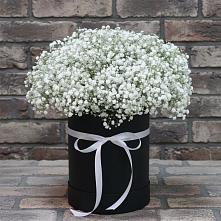 Цветочная композиция из Гипсофила в шляпной коробке #REPLACE_PRED# Старково