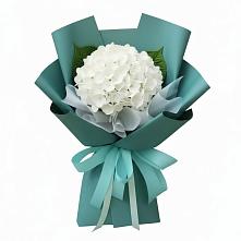 Букет цветов из:  Гортензия в Старково